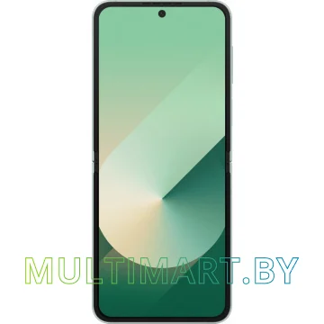 Смартфон Samsung Galaxy Z Flip6 SM-F741B 12GB/256GB (мятный) картинка 2